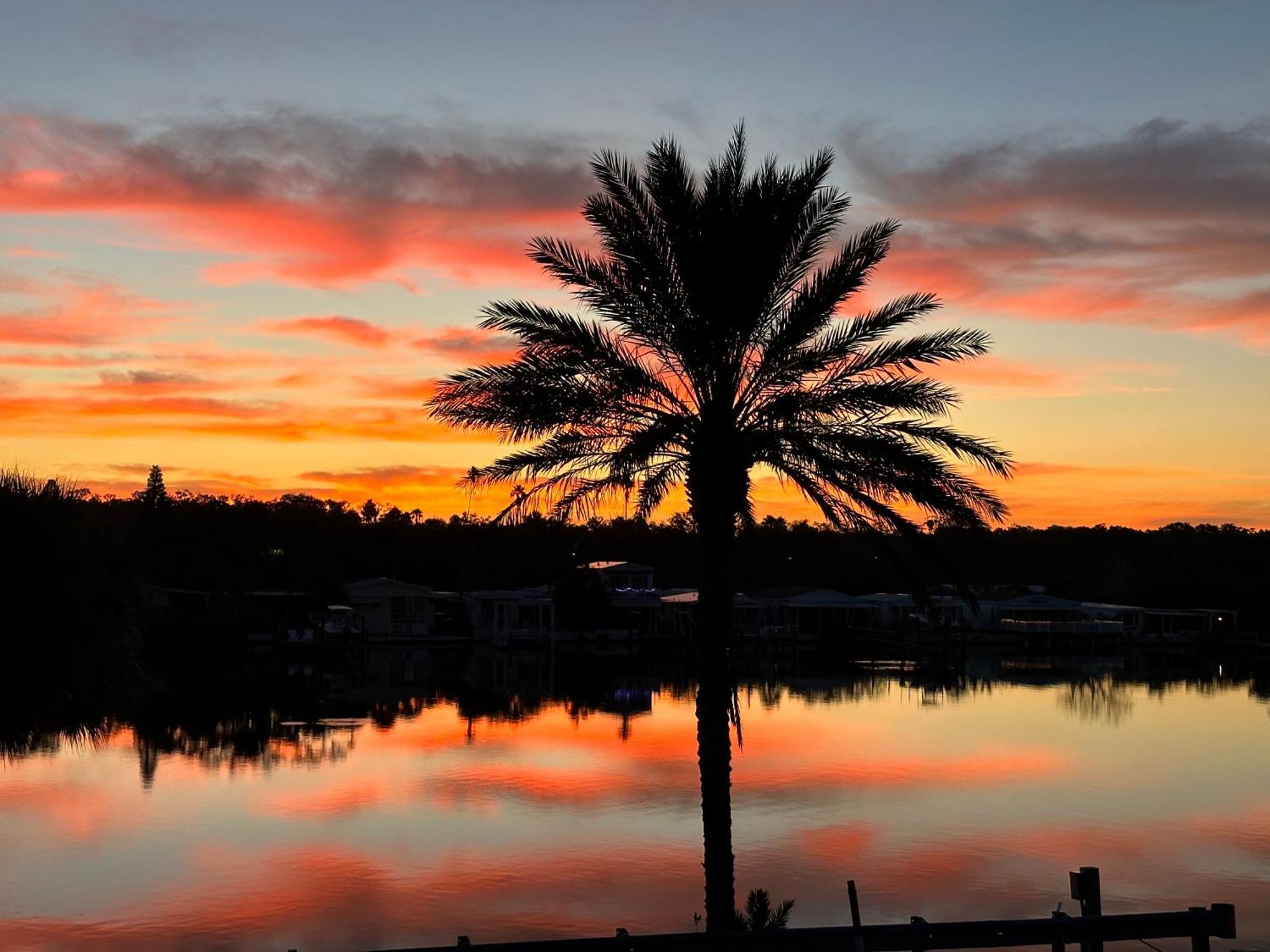 Pelican #8 Apartamento Clearwater Beach